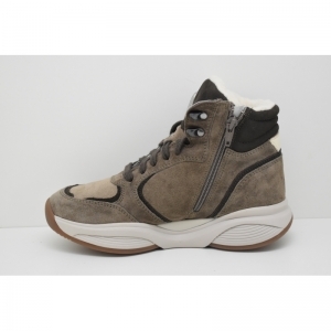 SWX24 taupe