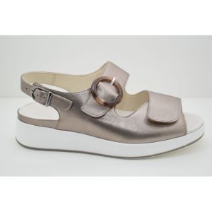 KAMI-79105-40596 champagne