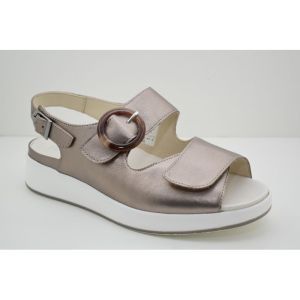 KAMI-79105-40596 champagne