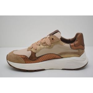 RAINBOW camel combi