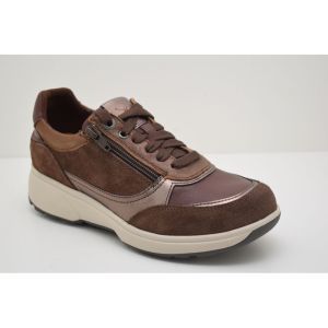 PRISTINA brown combi