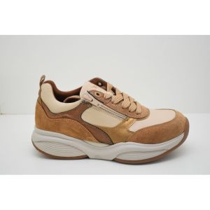 SWX19 camel combi