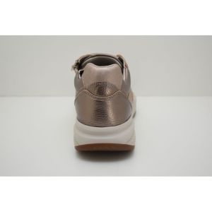 SWX27 champagne