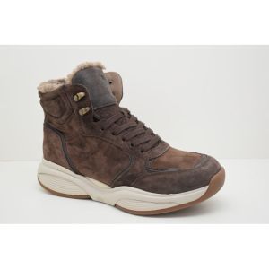 SWX24 dark brown