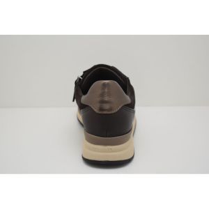 6020.01.003 bruin