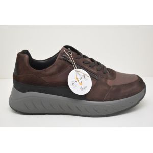 KEN-71136-30805 bruin
